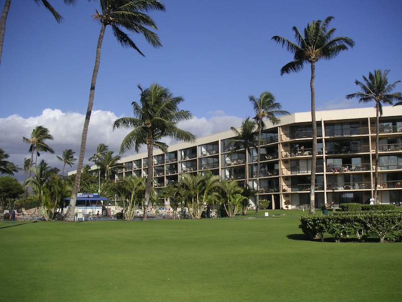 MAUI SUNSET Maui Windsurf Company